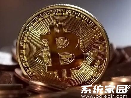 钱包okpy_钱包okpay下载_okpay钱包