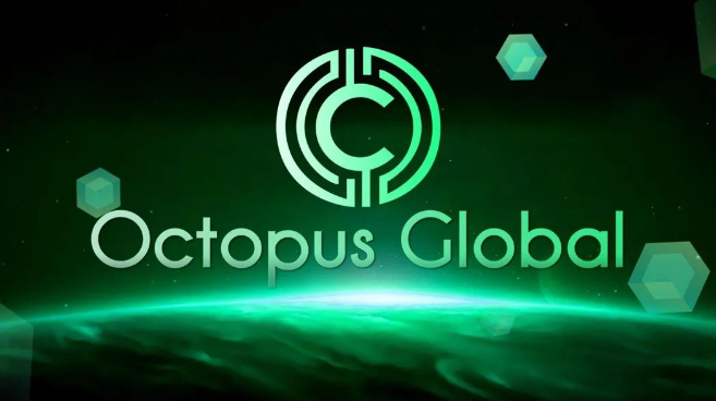 揭秘Octopus章鱼交易所：新型数字货币投资背后的真相与风险
