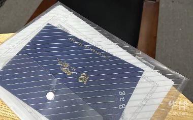 如何报告虚拟货币欺诈案件？完整指南教你收集证据与报案途径